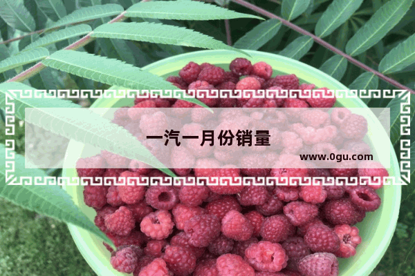 一汽一月份销量