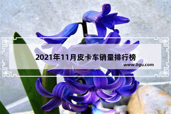 2021年11月皮卡车销量排行榜