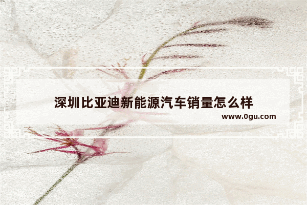 深圳比亚迪新能源汽车销量怎么样
