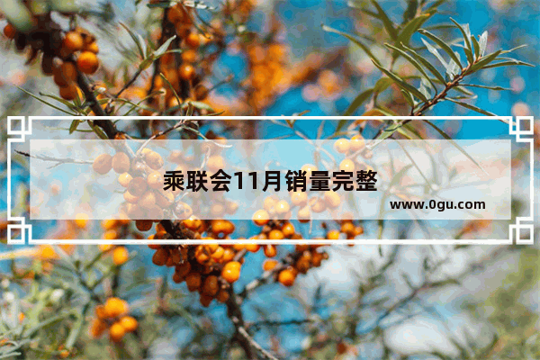 乘联会11月销量完整