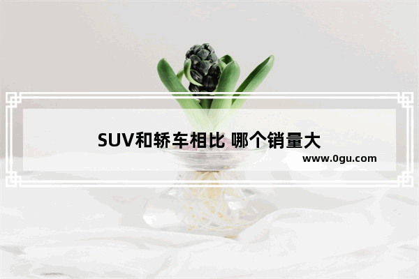 SUV和轿车相比 哪个销量大