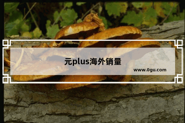 元plus海外销量
