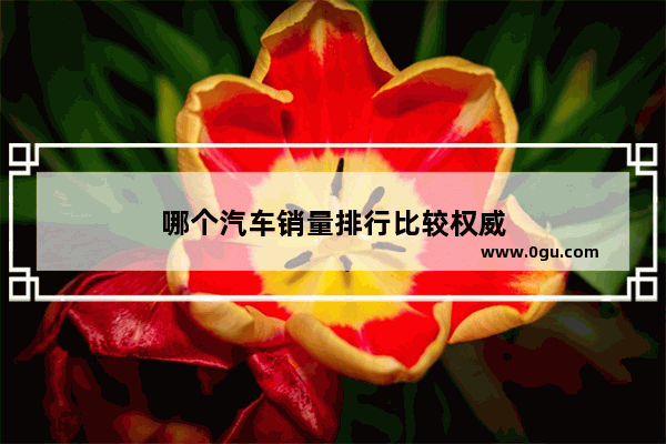哪个汽车销量排行比较权威