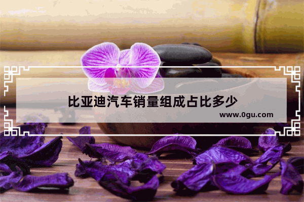 比亚迪汽车销量组成占比多少
