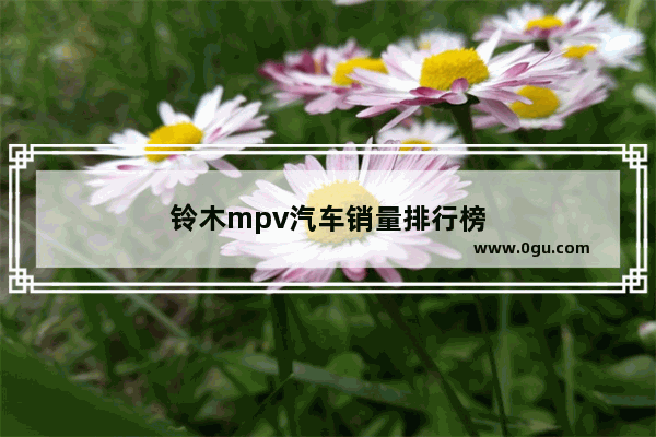铃木mpv汽车销量排行榜