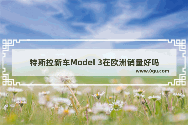 特斯拉新车Model 3在欧洲销量好吗