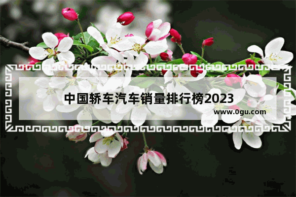 中国轿车汽车销量排行榜2023