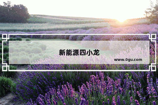 新能源四小龙
