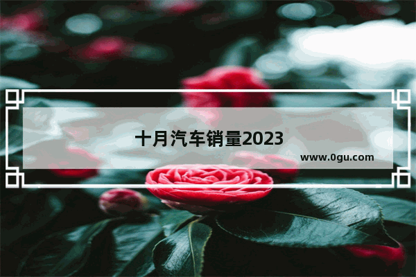 十月汽车销量2023