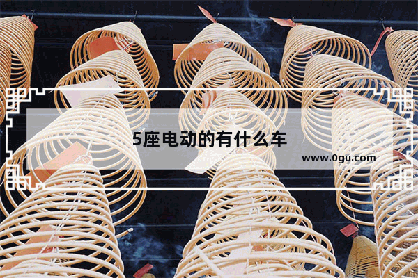 5座电动的有什么车