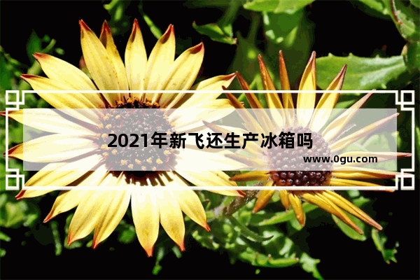 2021年新飞还生产冰箱吗