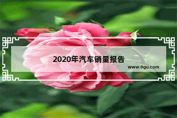 2020年汽车销量报告