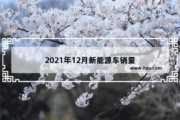 2021年12月新能源车销量