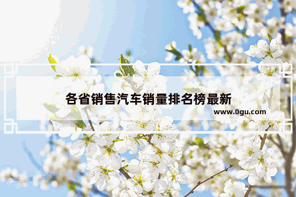 各省销售汽车销量排名榜最新
