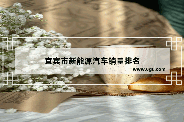 宜宾市新能源汽车销量排名