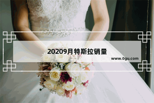 20209月特斯拉销量