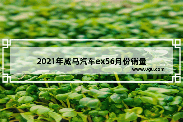 2021年威马汽车ex56月份销量