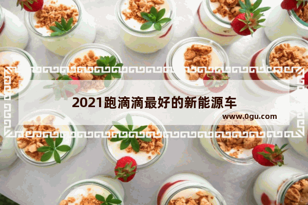 2021跑滴滴最好的新能源车