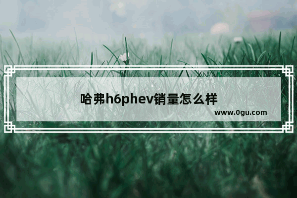 哈弗h6phev销量怎么样