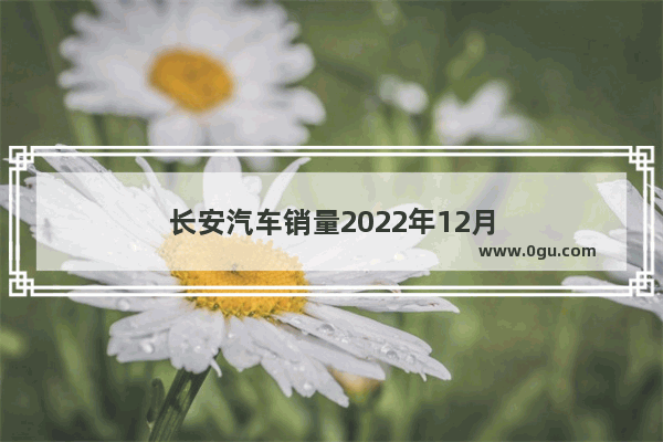 长安汽车销量2022年12月