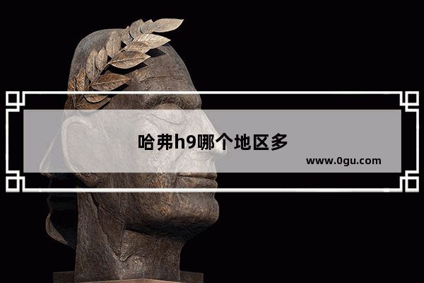 哈弗h9哪个地区多