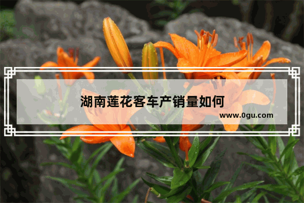 湖南莲花客车产销量如何