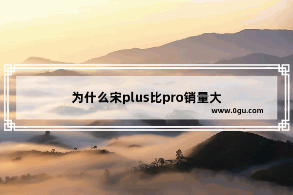 为什么宋plus比pro销量大
