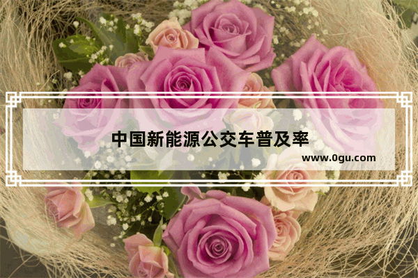 中国新能源公交车普及率