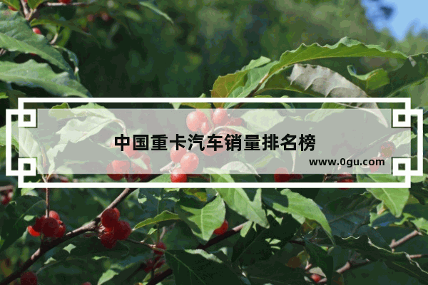 中国重卡汽车销量排名榜