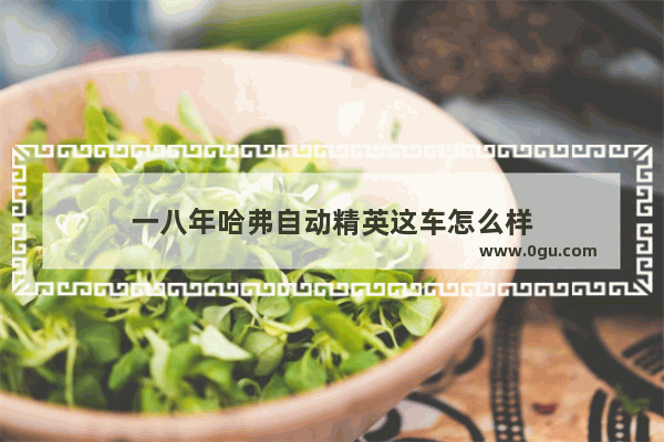 一八年哈弗自动精英这车怎么样