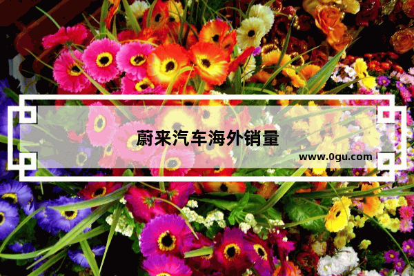 蔚来汽车海外销量