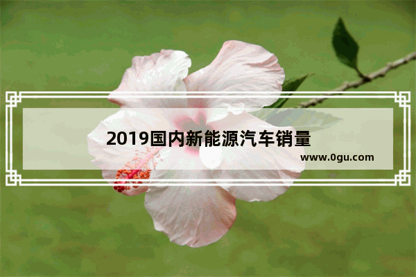 2019国内新能源汽车销量