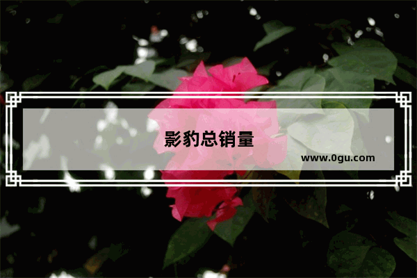 影豹总销量