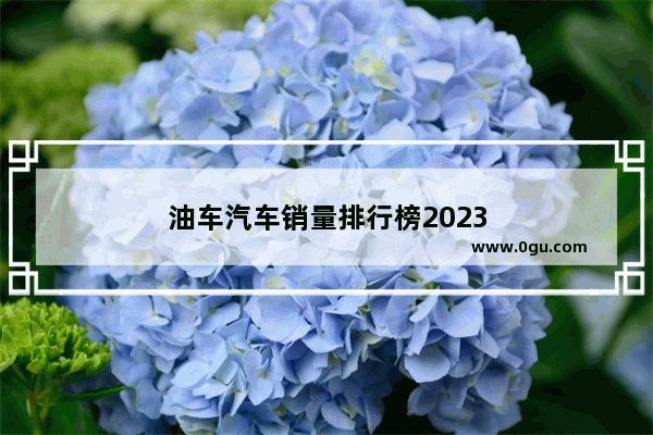 油车汽车销量排行榜2023