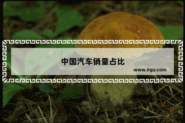 中国汽车销量占比