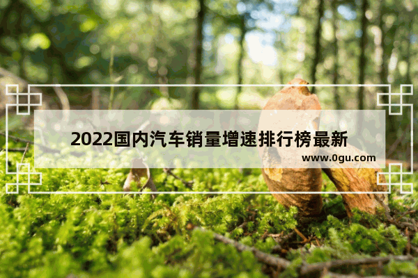 2022国内汽车销量增速排行榜最新