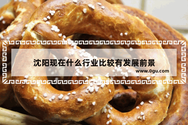 沈阳现在什么行业比较有发展前景