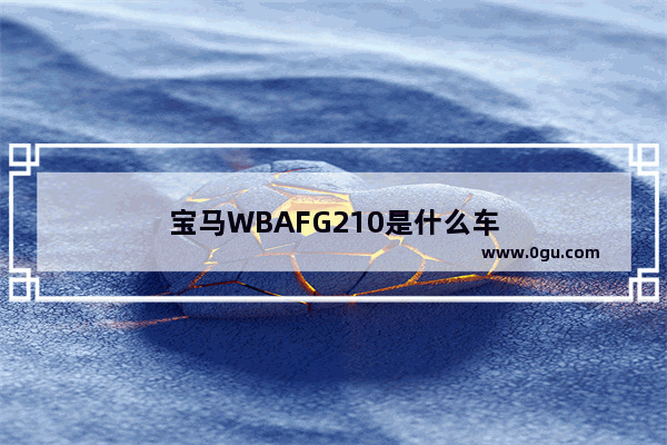 宝马WBAFG210是什么车