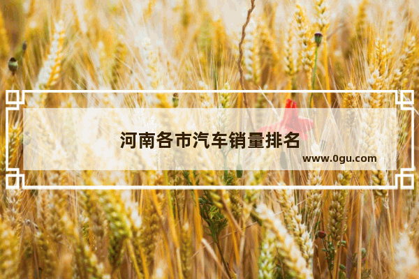 河南各市汽车销量排名