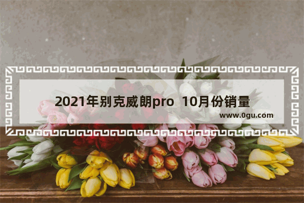 2021年别克威朗pro  10月份销量