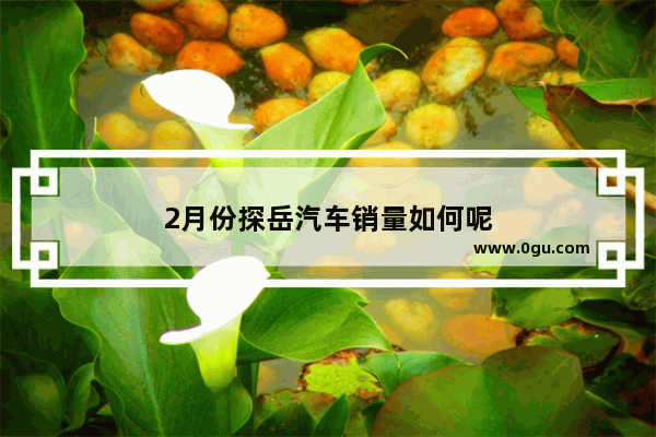2月份探岳汽车销量如何呢
