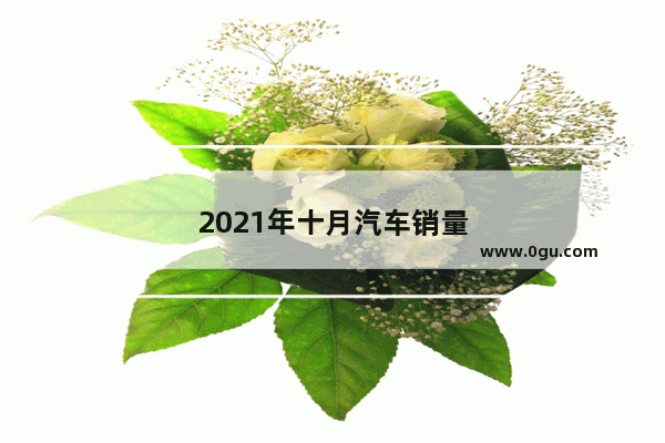 2021年十月汽车销量