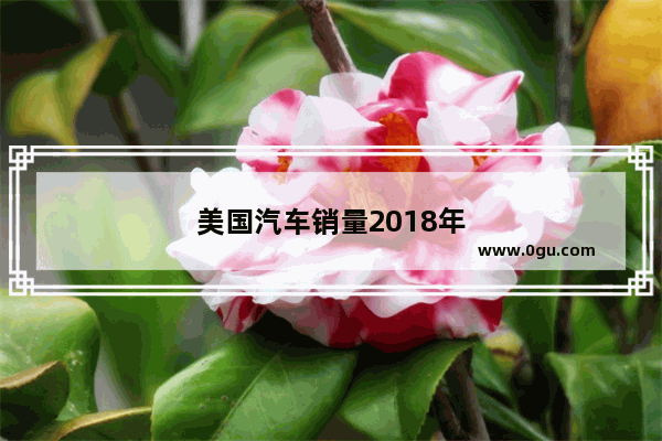 美国汽车销量2018年