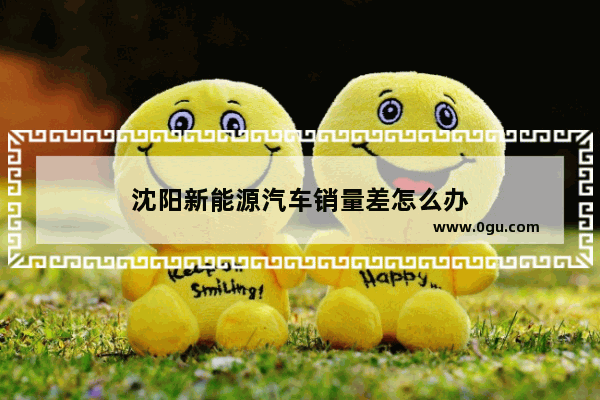 沈阳新能源汽车销量差怎么办