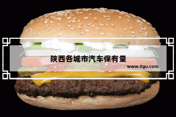 陕西各城市汽车保有量