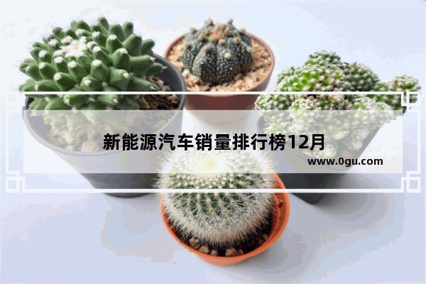 新能源汽车销量排行榜12月