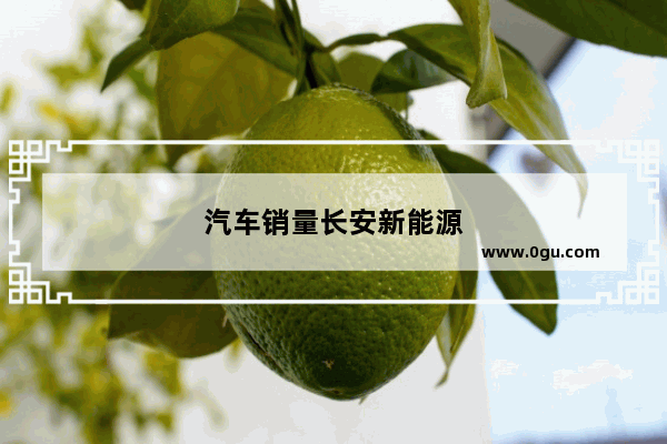 汽车销量长安新能源