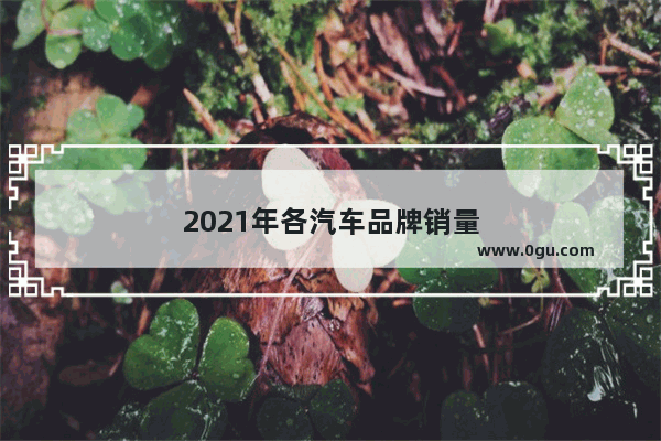 2021年各汽车品牌销量