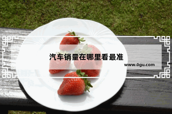 汽车销量在哪里看最准