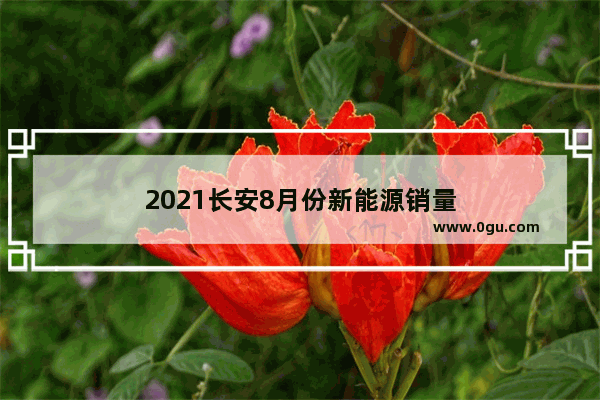 2021长安8月份新能源销量